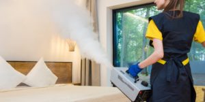 Does Steam Kill Bed Bugs?