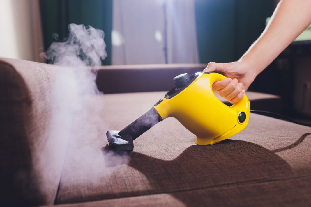Does Steam Kill Bed Bugs
